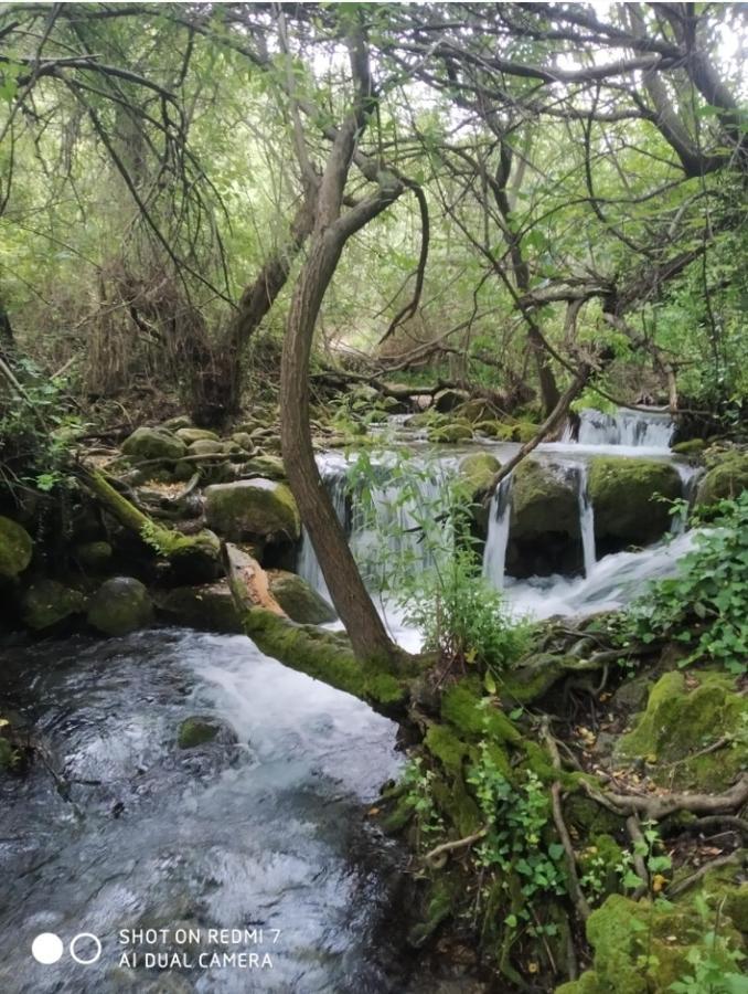 Aptm Dayma Sierra junto al río Majaceite. Benamahoma Exterior foto